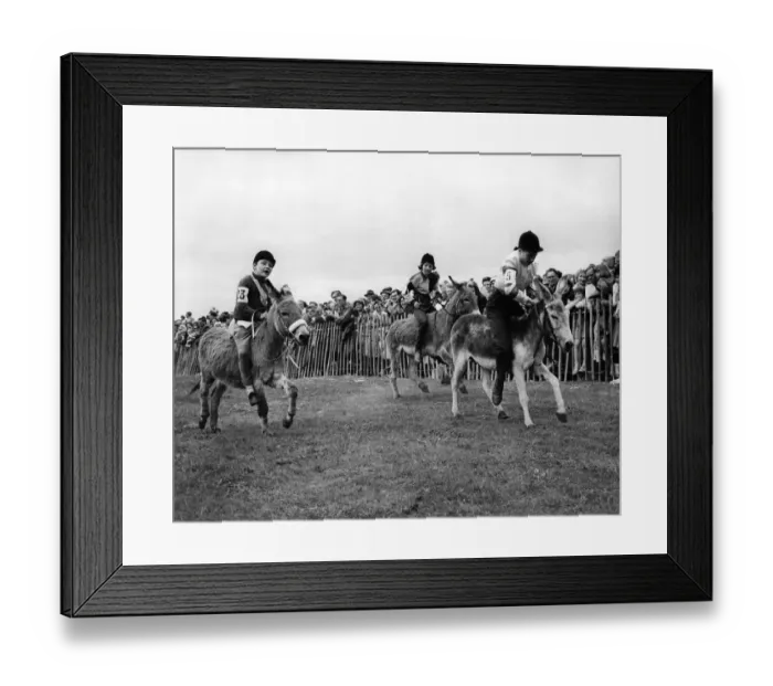 Framed Print : Donkey - Fighting out the finish of one of the donkey races in Wivelsfield Green Framed Print : Donkey - Fighting out the finish of one of the donkey races in Wivelsfield Green