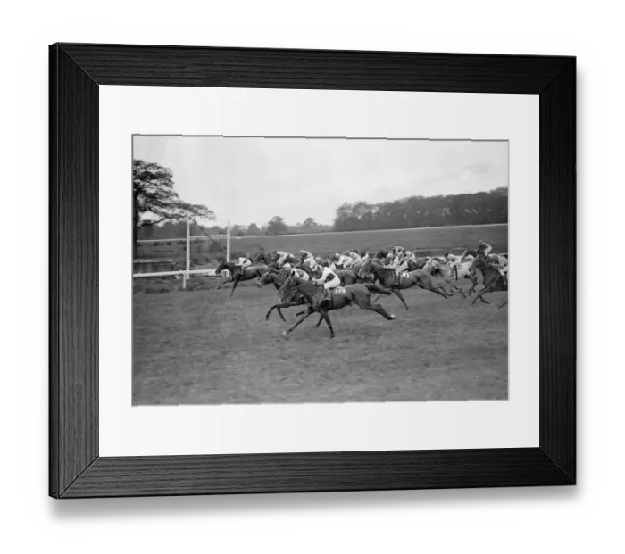 Framed Print : Gatwick Racecourse, Sussex, England. The start of the May Blossom Selling