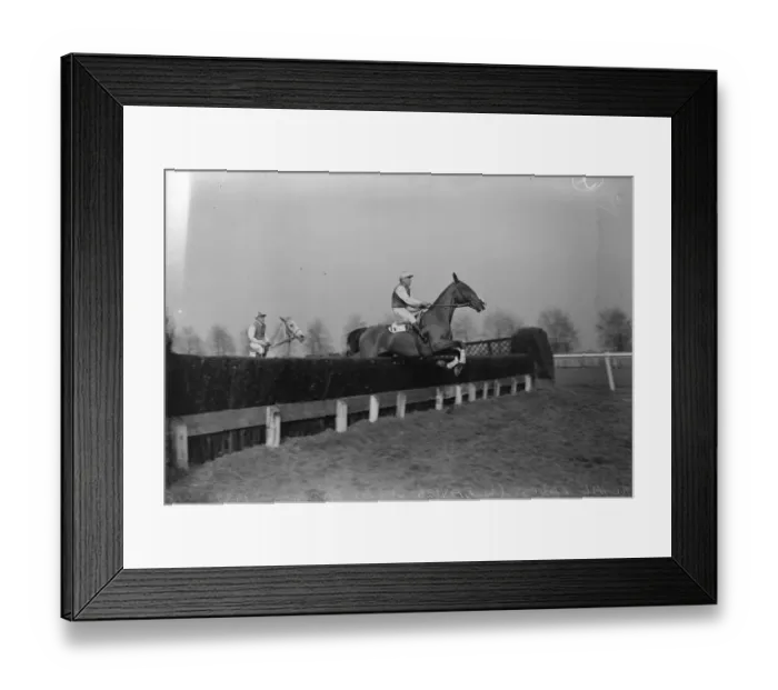 Framed Print : Racing at Gatwick. Royal Lancs ( W Davies up ) taking the last fence in