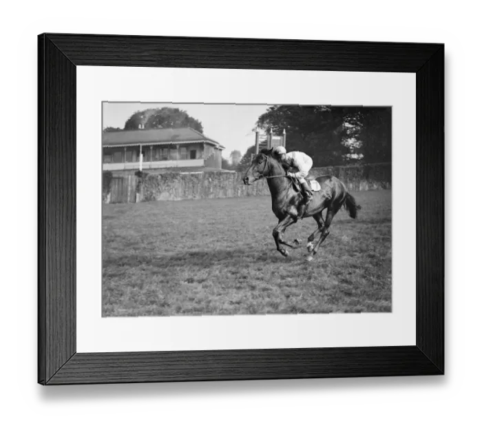 Framed Print : Gatwick Racecourse, Sussex, England. Caprisho ridden by K Gethin, cantering Framed Print : Gatwick Racecourse, Sussex, England. Caprisho ridden by K Gethin, cantering