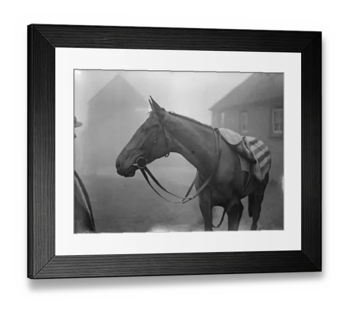 Framed Print : First pictures of Heartbreak Hill in training at Lewes - the favoured Irish candidate Framed Print : First pictures of Heartbreak Hill in training at Lewes - the favoured Irish candidate