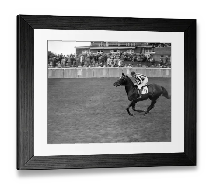 Framed Print : Silver Spear II at Goodwood Racecourse, Sussex, England. 1937 Framed Print : Silver Spear II at Goodwood Racecourse, Sussex, England. 1937