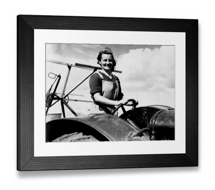 Framed Print : A woman farm worker on self binding machine on the farm on the Sussex Downs. August Framed Print : A woman farm worker on self binding machine on the farm on the Sussex Downs. August