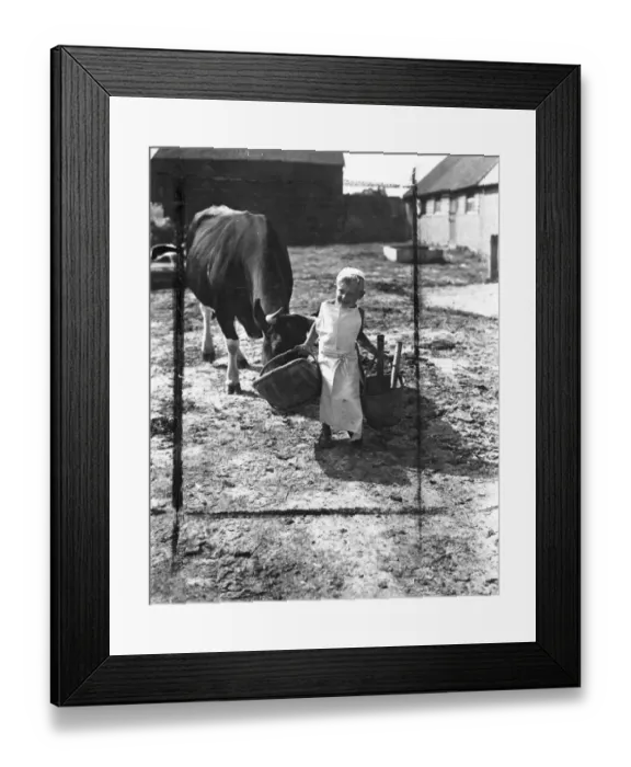 Framed Print : Little Jimmy Horton, of Newick, Sussex, is only 4, but is already making himself