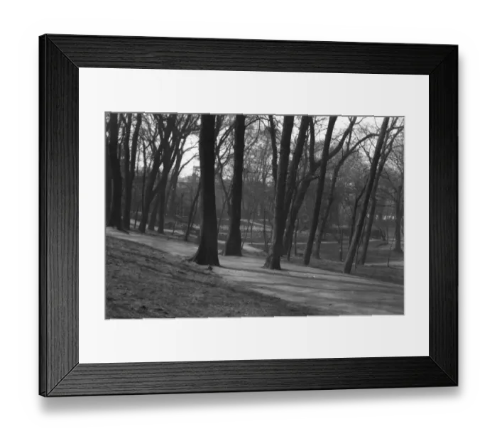 Framed Print : St Anns Well Gardens, Hove, Sussex. 26th March 1931 Framed Print : St Anns Well Gardens, Hove, Sussex. 26th March 1931