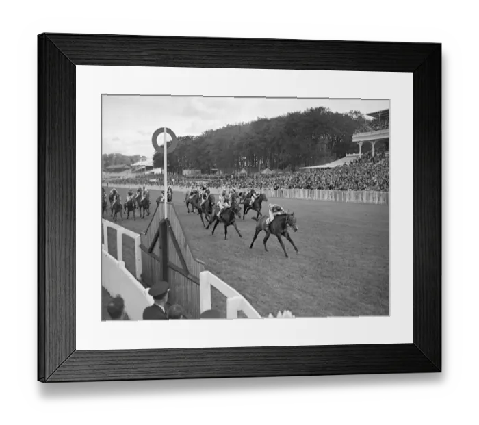 Framed Print : Goodwood Sussex England Finish of the Stewards Cup won by Harmachis