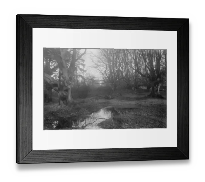 Framed Print : Balcombe Forest Framed Print : Balcombe Forest