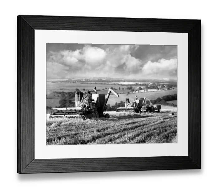 Framed Print : Harvest time on the South Downs. Combine harvesters at work on the Golden Barn
