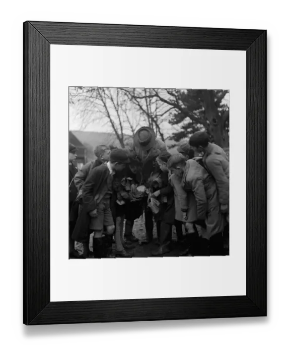 Framed Print : Cockney children from the Sydenham Road area of Croydon grow into farmers after evacuation Framed Print : Cockney children from the Sydenham Road area of Croydon grow into farmers after evacuation