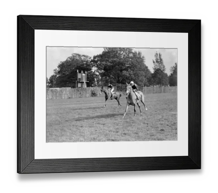 Framed Print : Gatwick Racecourse, Sussex, England. Vitesse ridden by D Prendergast cantering