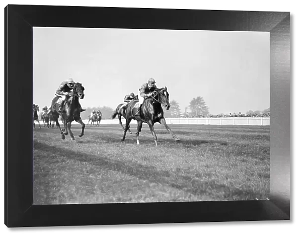 Gatwick racecourse, Sussex, England. Mr P Johnsons Tidebrook ( ridden by R Perryman )