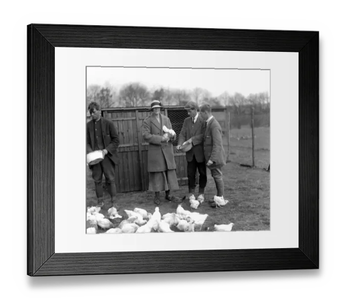 Framed Print : Lady Angela Forbes Silver Badge Training Centre at Westfield, Sussex Framed Print : Lady Angela Forbes Silver Badge Training Centre at Westfield, Sussex