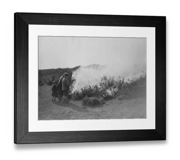 Framed Print : Great common fire near Eastbourne. A great common fire laid waste acres of heath