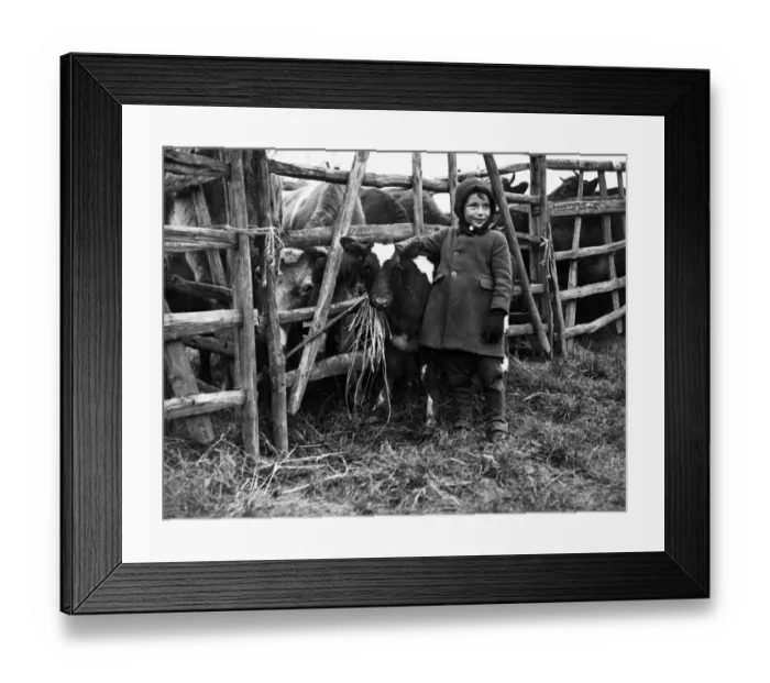 Framed Print : Awaiting their fate at Battle Fair. At Battle, Sussex, the traditional Christmas