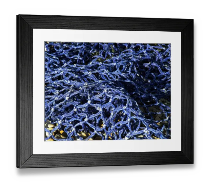 Framed Print : Detail of blue fishing net in the sunshine credit: Marie-Louise Avery  /  thePictureKitchen