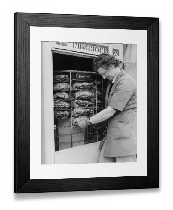Framed Print : This egg machine sells mushrooms. At 2 shillings a half pound sell like hot cakes Framed Print : This egg machine sells mushrooms. At 2 shillings a half pound sell like hot cakes
