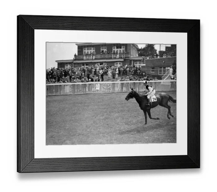 Framed Print : Alor Star at Goodwood Racecourse, Sussex, England. 1937 Framed Print : Alor Star at Goodwood Racecourse, Sussex, England. 1937
