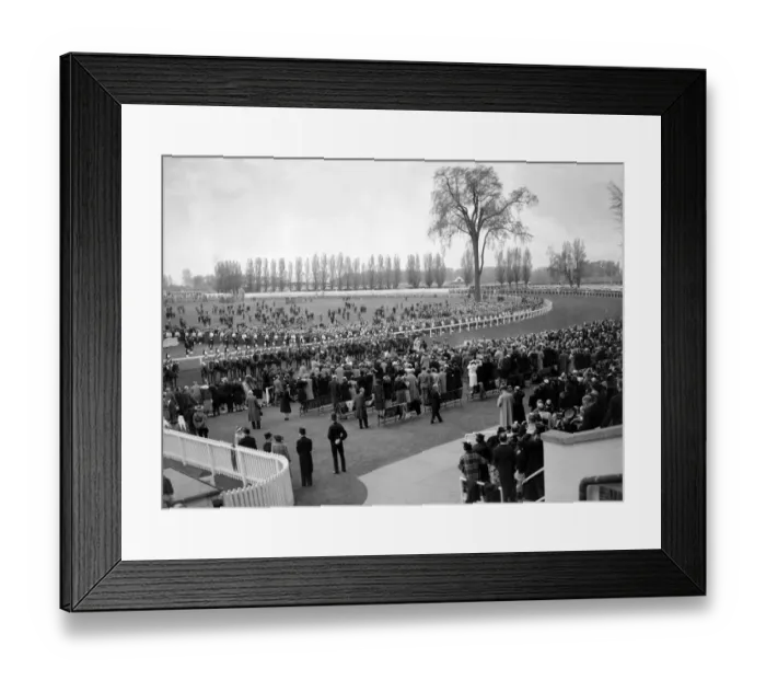 Framed Print : The Royal tour of Canada and the USA by King George VI and Queen Elizabeth, 1939 The King