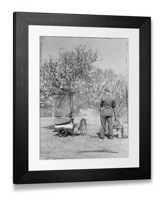 Framed Print : Many innovations which will make life easier for the amateur and professional gardener Framed Print : Many innovations which will make life easier for the amateur and professional gardener