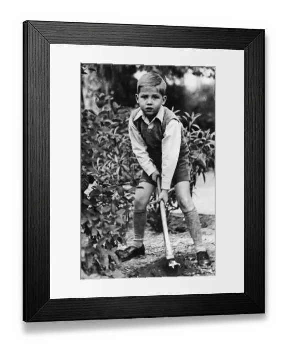 Framed Print : Crown Prince Constantine of Greece aged 6, digging in the garden of the Royal Palace Framed Print : Crown Prince Constantine of Greece aged 6, digging in the garden of the Royal Palace