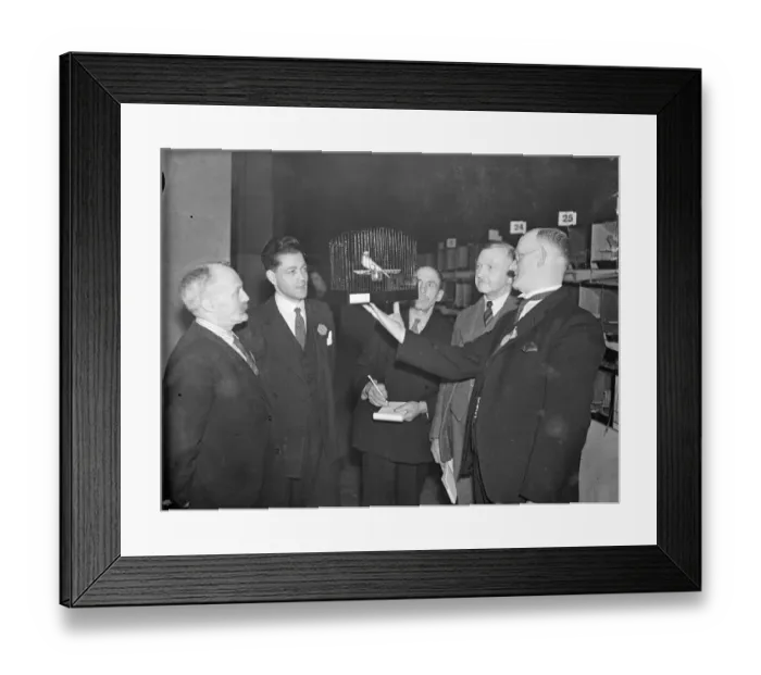 Framed Print : Canary causes conference!. The Bird Fancy exhibition is taking place at the Royal