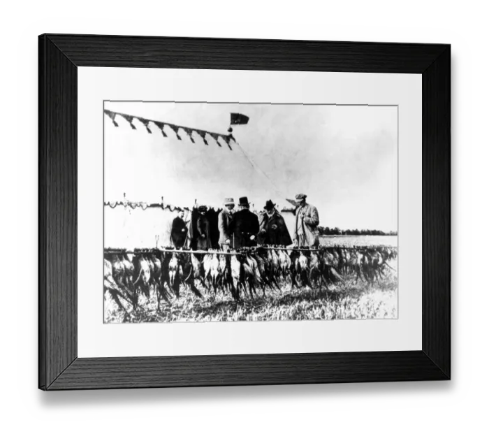 Framed Print : Edward VII and Lord Londesborough inspecting bag of pheasants at Shernborne Farm Framed Print : Edward VII and Lord Londesborough inspecting bag of pheasants at Shernborne Farm