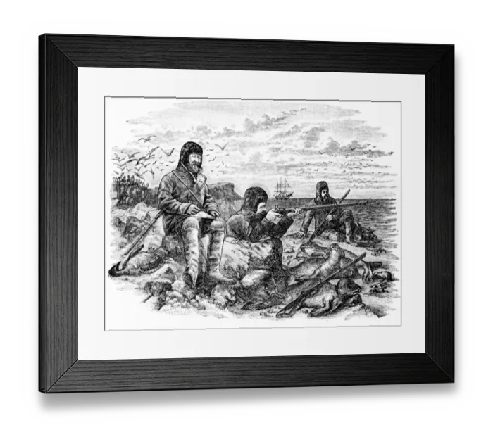 Framed Print : Drawing taken from the photo of Mr Wild seated on rock at Kerguelen making a drawing Framed Print : Drawing taken from the photo of Mr Wild seated on rock at Kerguelen making a drawing