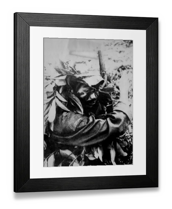 Framed Print : Jungle war in Laos: A Royal Laotian soldier, face blackened and headgear campouflaged with branches Framed Print : Jungle war in Laos: A Royal Laotian soldier, face blackened and headgear campouflaged with branches