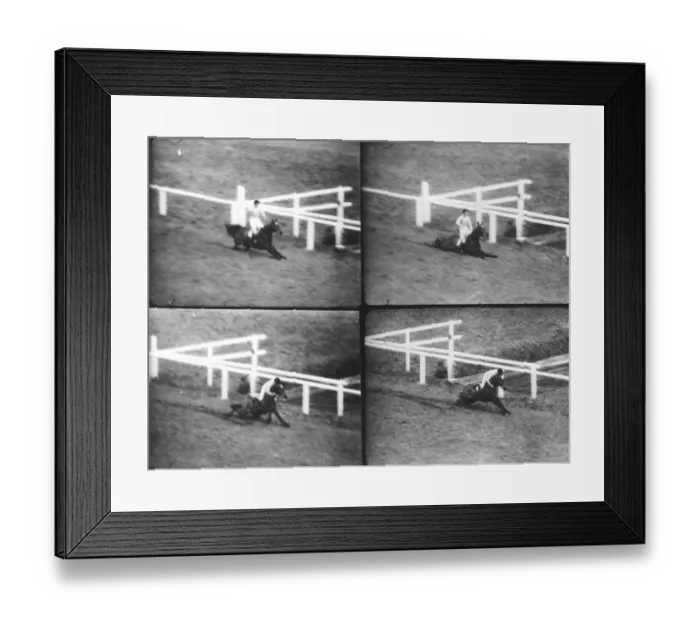 Framed Print : The Grand Nationals most dramatic moments as the Queen Mothers horse Devon Loch Framed Print : The Grand Nationals most dramatic moments as the Queen Mothers horse Devon Loch