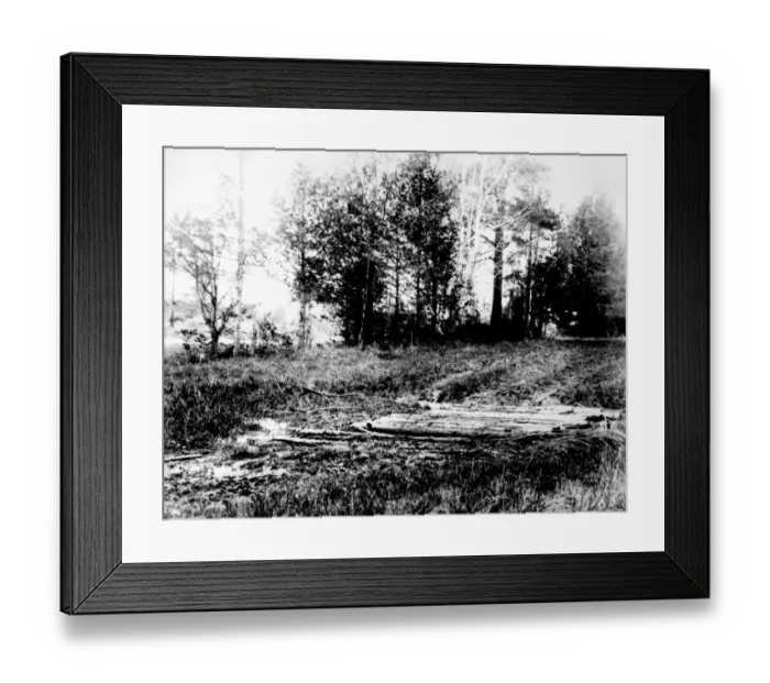 Framed Print : Ekaterinburg: Spot in the woods where the remains of the Russian Royal family were found (Romanov) Framed Print : Ekaterinburg: Spot in the woods where the remains of the Russian Royal family were found (Romanov)