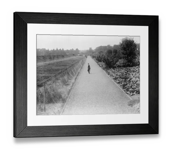 Framed Print : The gardens at the Kings country house, Sandringham, Norfolk. The fruit cages