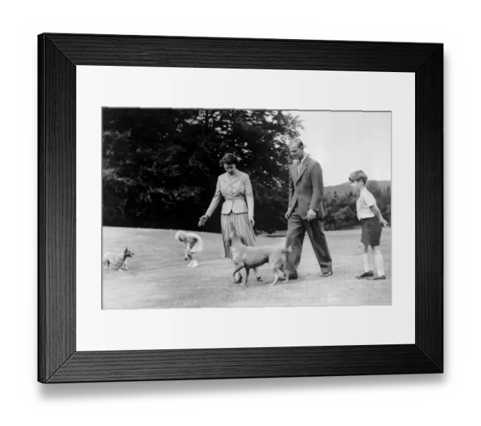Framed Print : Royal family take a stroll in the grounds of Balmoral Castle. Princess Anne tempts