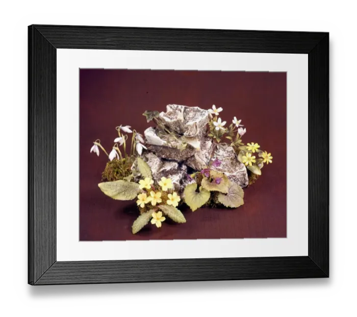Framed Print : Royal Worcester Porcelain Flowers Framed Print : Royal Worcester Porcelain Flowers