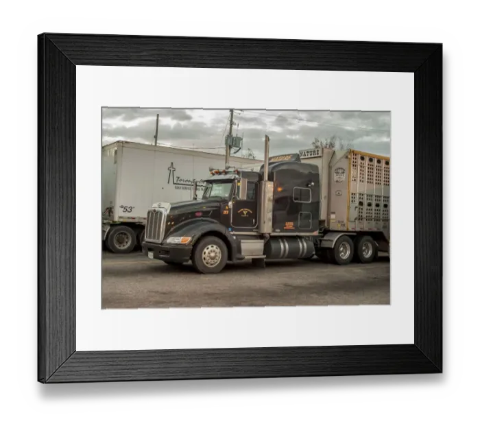 Framed Print : Peterbuilt 6x4 semi with a livestock trailer parked up on a service station SW of Framed Print : Peterbuilt 6x4 semi with a livestock trailer parked up on a service station SW of