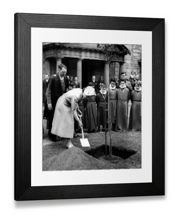Framed Print : Her Majesty Queen Elizabeth II planting a tree in Canongate Kirk to mark her visit Framed Print : Her Majesty Queen Elizabeth II planting a tree in Canongate Kirk to mark her visit