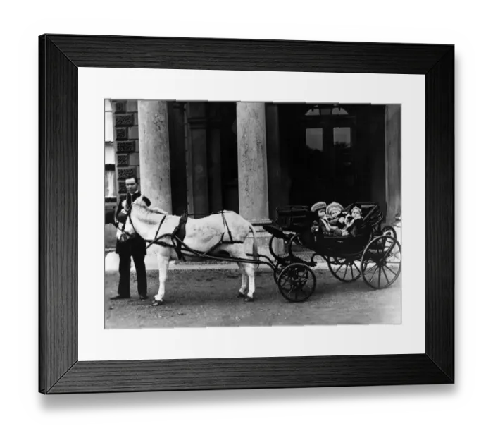 Framed Print : HRH Princess Margaret and Prince Arthur of Connaught and Princess Alice January 1884 Framed Print : HRH Princess Margaret and Prince Arthur of Connaught and Princess Alice January 1884
