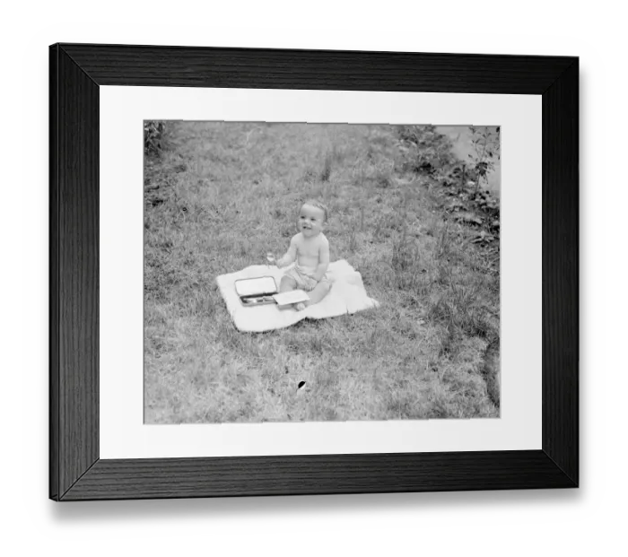 Framed Print : Windsors champion baby wings Queens prize. From a record entry of more than 200
