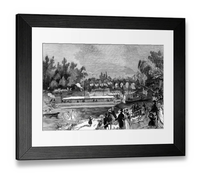 Framed Print : Daily Life - Swan-upping on the Thames from Brentford Ait - Third week in July