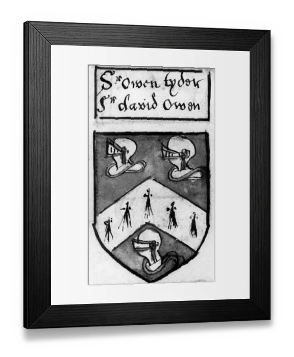 Framed Print : Arms of Owain Tudor Owen Tudor (1400-1461) Born: 1400, probably on Anglesey, Gwynedd Royal Framed Print : Arms of Owain Tudor Owen Tudor (1400-1461) Born: 1400, probably on Anglesey, Gwynedd Royal