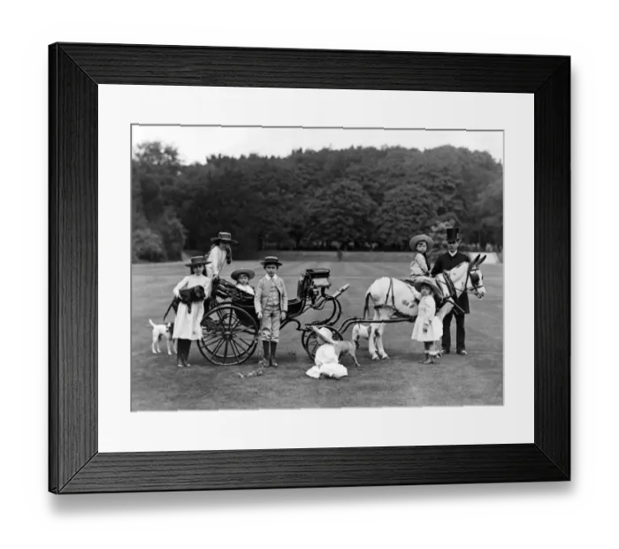 Framed Print : Connaught and Battenberg Children in small Donkey Carriage at Osborne August 8 1891 Framed Print : Connaught and Battenberg Children in small Donkey Carriage at Osborne August 8 1891