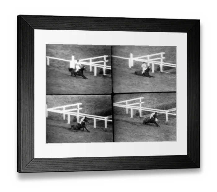 Framed Print : The Grand Nationals most dramatic moments as the Queen Mothers horse Devon Loch Framed Print : The Grand Nationals most dramatic moments as the Queen Mothers horse Devon Loch