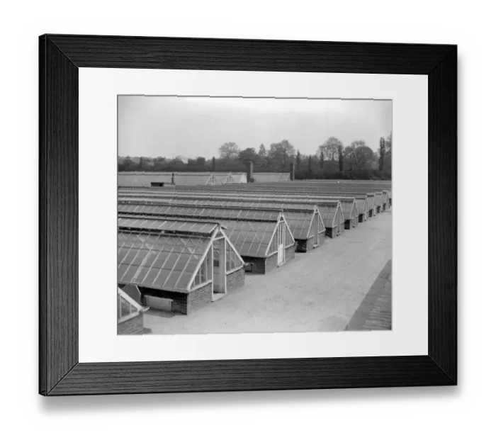 Framed Print : Hyde Park. A short distance from the Serpentine there is a 5 acre enclosure containing Framed Print : Hyde Park. A short distance from the Serpentine there is a 5 acre enclosure containing