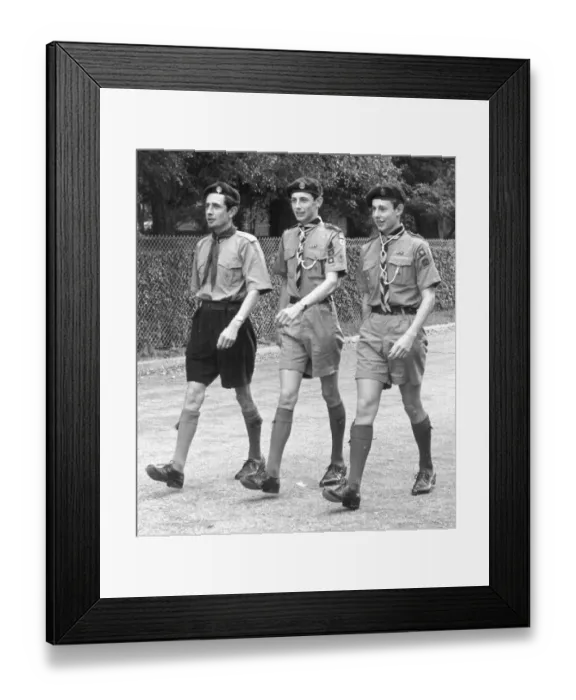 Framed Print : Boy scouts Three brothers from Hayes, Kent - 16th October 1962