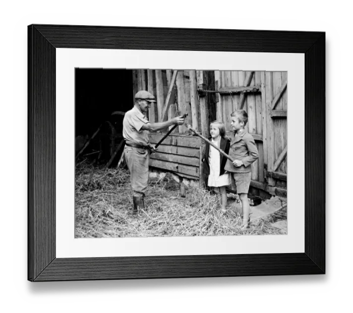 Framed Print : Still using the flail on a Kentish farm. On the farm of Mr T Oakey Westwood Farm Framed Print : Still using the flail on a Kentish farm. On the farm of Mr T Oakey Westwood Farm