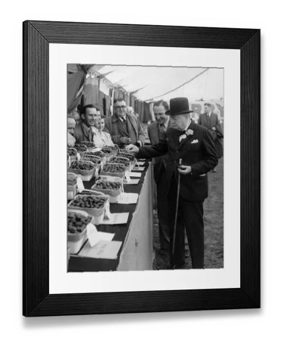 Framed Print : Sir Winston Churchill at the Kent Cherry and Soft Fruit Show in July 1948 when he