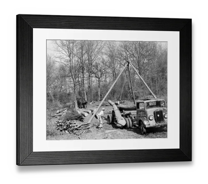 Framed Print : Tree felling. Stockbury. Kent 1937 Framed Print : Tree felling. Stockbury. Kent 1937