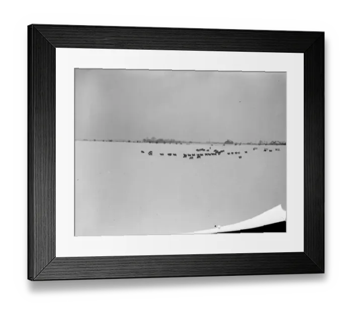 Framed Print : A 20 hour blizzard has caused serious dislocation in Kent, where villages have been almost cut off