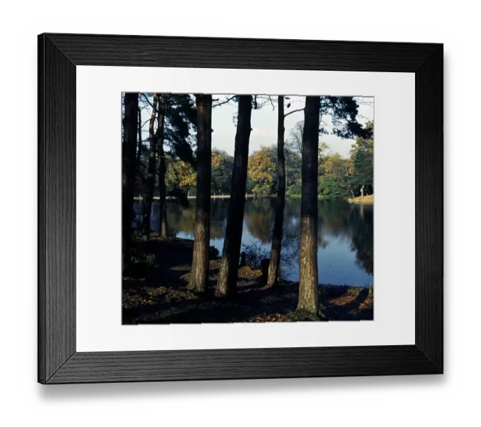 Framed Print : Keston Ponds, Kent