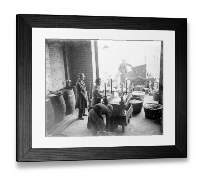 Framed Print : Crockenhill Woods. 1934 Framed Print : Crockenhill Woods. 1934