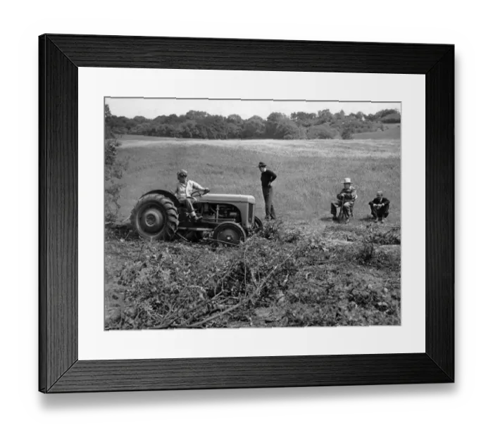 Framed Print : Churchill with Christopher Soames and Anthony Eden on his farm at Chartwell in Westerham Framed Print : Churchill with Christopher Soames and Anthony Eden on his farm at Chartwell in Westerham